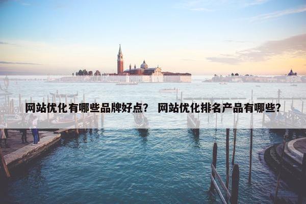 网站优化有哪些品牌好点？ 网站优化排名产品有哪些？