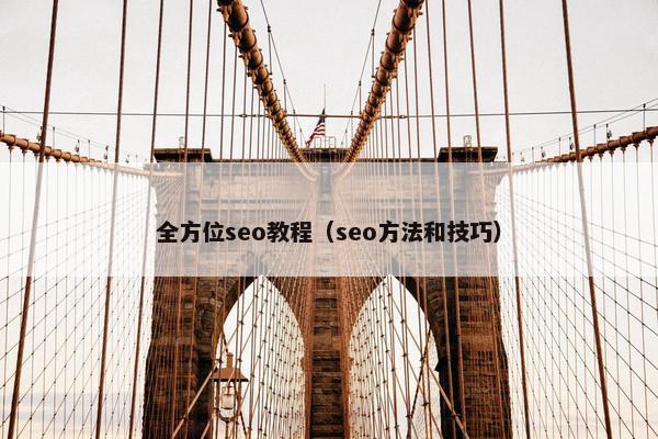 全方位seo教程（seo方法和技巧）