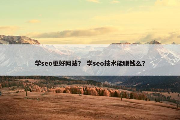 学seo更好网站？ 学seo技术能赚钱么？
