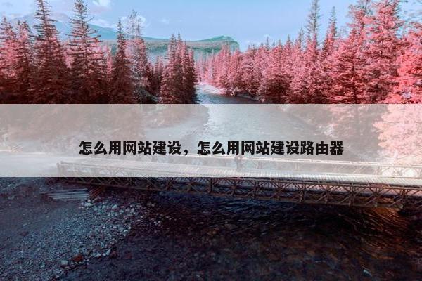 怎么用网站建设，怎么用网站建设路由器