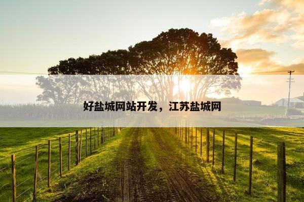 好盐城网站开发，江苏盐城网