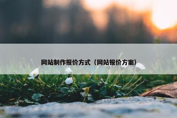 网站制作报价方式（网站报价方案）