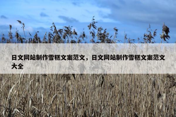 日文网站制作雪糕文案范文，日文网站制作雪糕文案范文大全