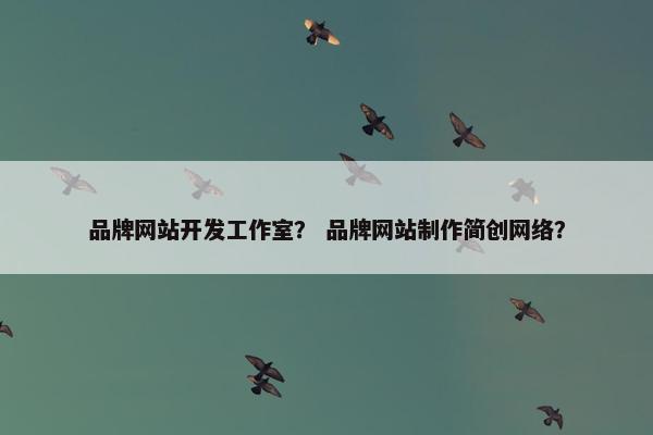 品牌网站开发工作室？ 品牌网站制作简创网络？