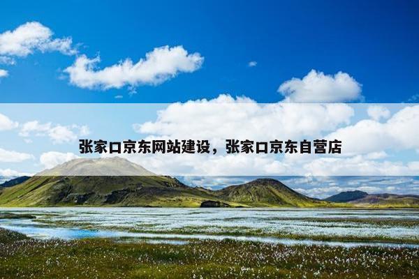 张家口京东网站建设，张家口京东自营店