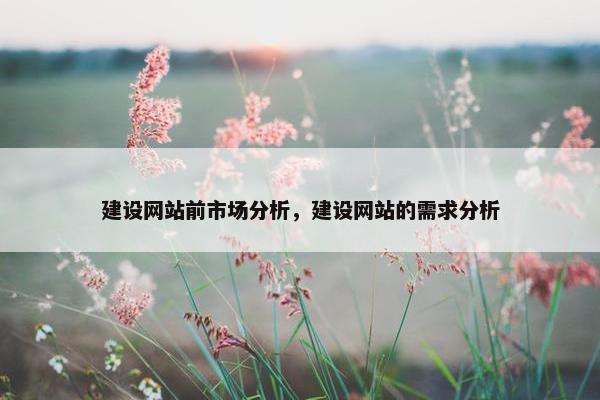 建设网站前市场分析，建设网站的需求分析