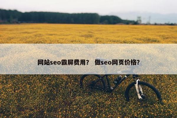网站seo霸屏费用？ 做seo网页价格？