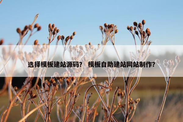 选择模板建站源码？ 模板自助建站网站制作？