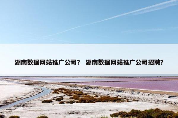 湖南数据网站推广公司？ 湖南数据网站推广公司招聘？