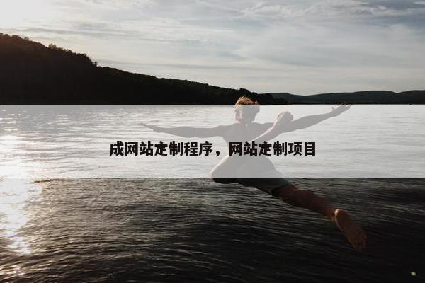 成网站定制程序，网站定制项目