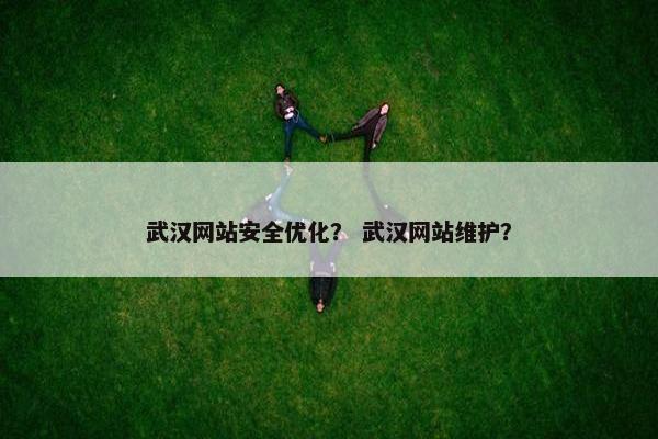 武汉网站安全优化？ 武汉网站维护？