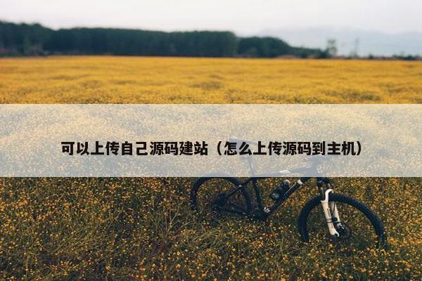可以上传自己源码建站（怎么上传源码到主机）