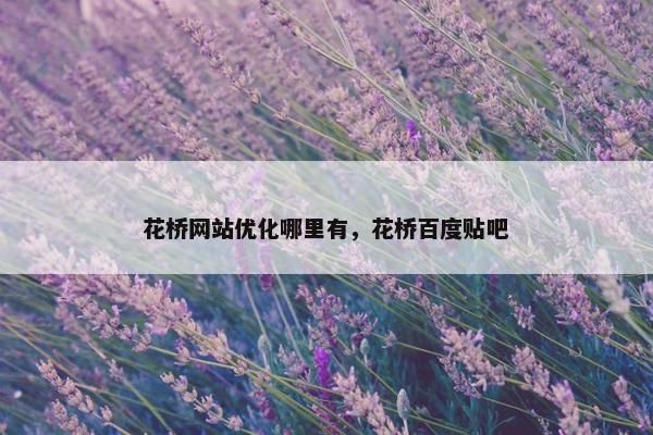 花桥网站优化哪里有，花桥百度贴吧