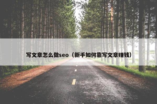写文章怎么做seo（新手如何靠写文章赚钱）