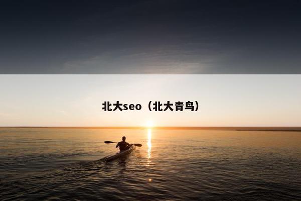 北大seo（北大青鸟）