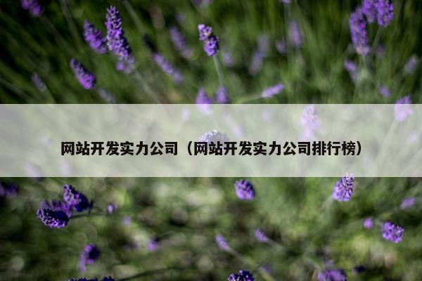 网站开发实力公司（网站开发实力公司排行榜）