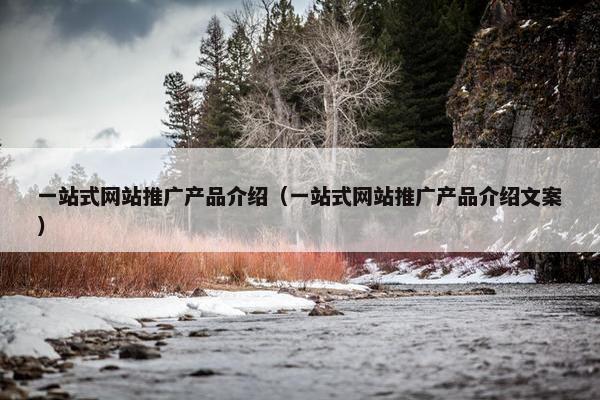 一站式网站推广产品介绍（一站式网站推广产品介绍文案）