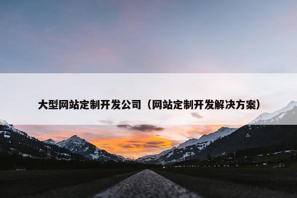 大型网站定制开发公司（网站定制开发解决方案）