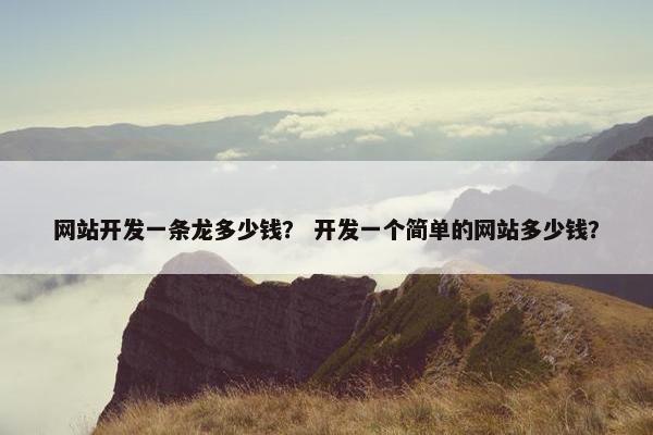 网站开发一条龙多少钱？ 开发一个简单的网站多少钱？