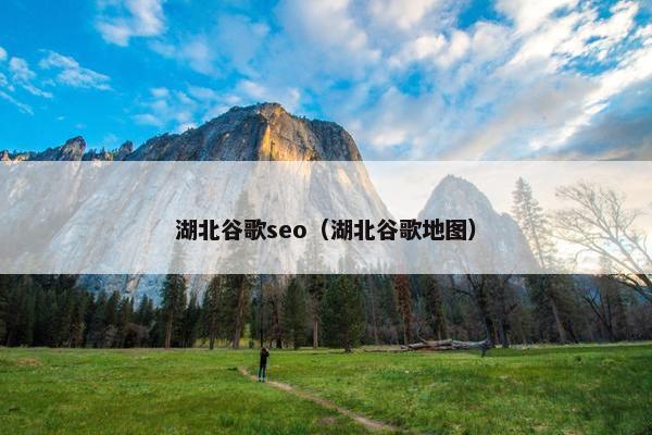 湖北谷歌seo（湖北谷歌地图）