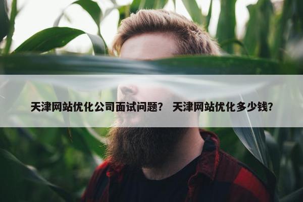 天津网站优化公司面试问题？ 天津网站优化多少钱？
