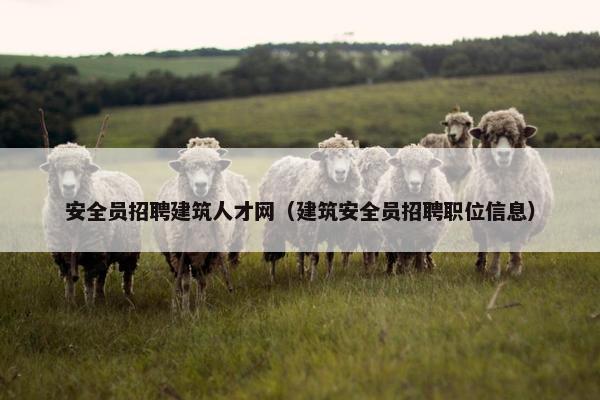 安全员招聘建筑人才网（建筑安全员招聘职位信息）