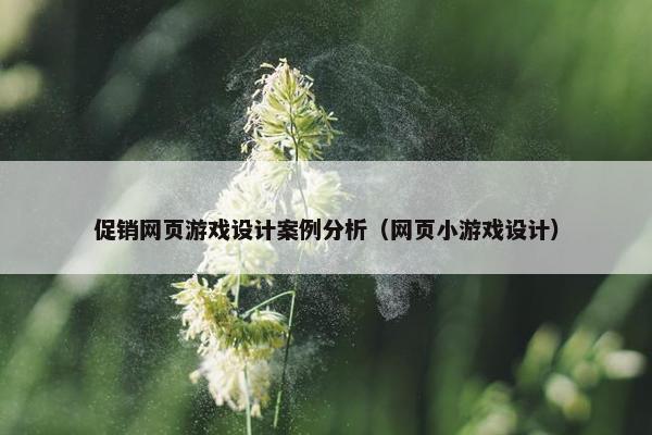 促销网页游戏设计案例分析（网页小游戏设计）