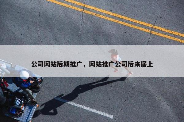 公司网站后期推广，网站推广公司后来居上