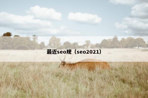 最近seo规（seo2021）