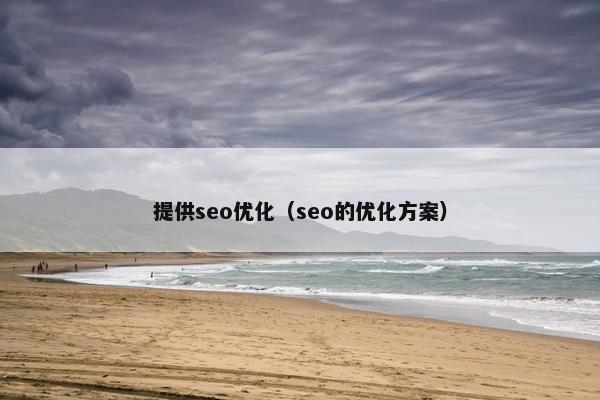 提供seo优化（seo的优化方案）
