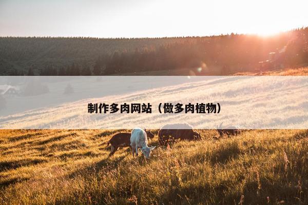 制作多肉网站（做多肉植物）