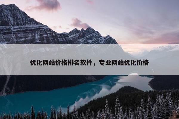 优化网站价格排名软件，专业网站优化价格