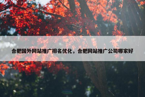 合肥国外网站推广排名优化，合肥网站推广公司哪家好