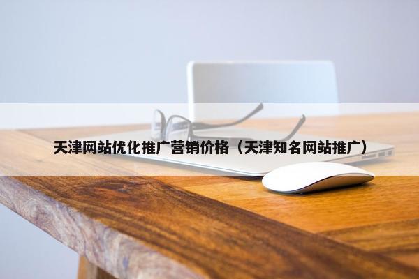 天津网站优化推广营销价格（天津知名网站推广）