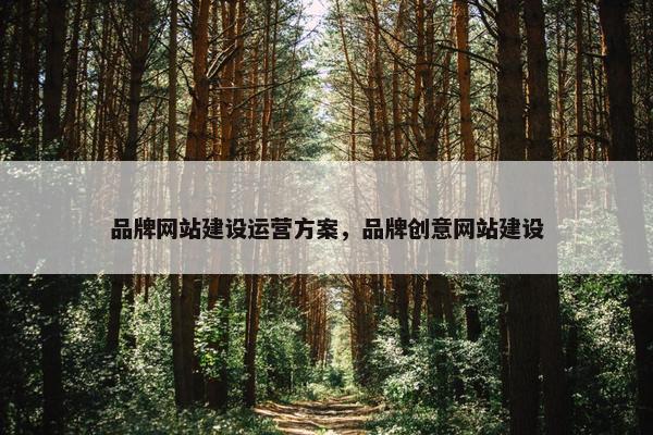 品牌网站建设运营方案，品牌创意网站建设