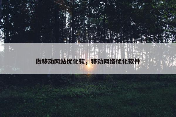 做移动网站优化软，移动网络优化软件