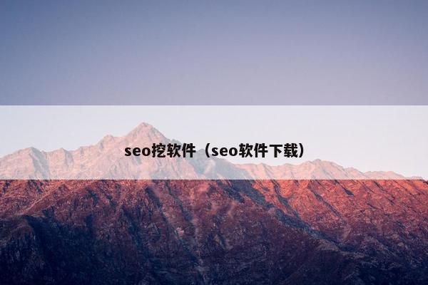 seo挖软件（seo软件下载）