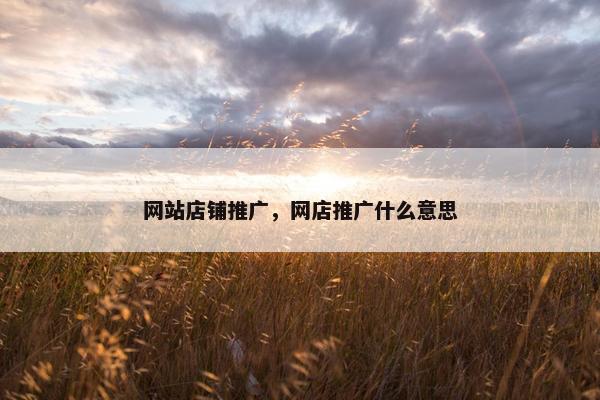 网站店铺推广，网店推广什么意思