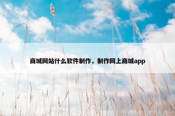 商城网站什么软件制作，制作网上商城app