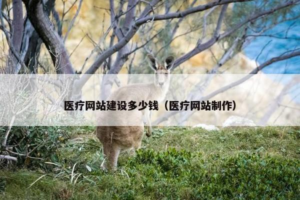 医疗网站建设多少钱（医疗网站制作）