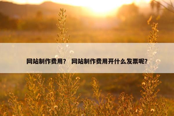 网站制作费用？ 网站制作费用开什么发票呢？