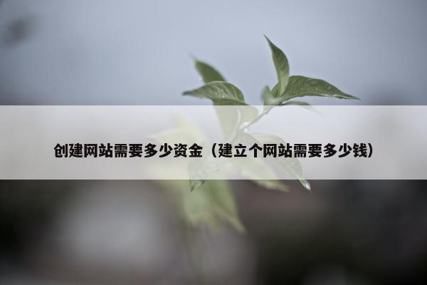 创建网站需要多少资金（建立个网站需要多少钱）