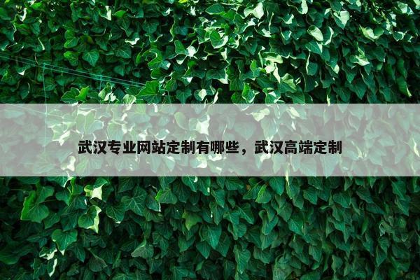 武汉专业网站定制有哪些，武汉高端定制