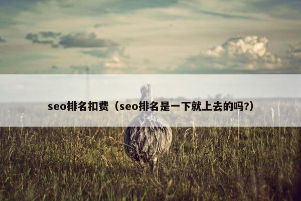 seo排名扣费（seo排名是一下就上去的吗?）