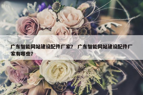 广东智能网站建设配件厂家？ 广东智能网站建设配件厂家有哪些？