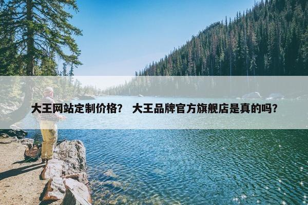 大王网站定制价格？ 大王品牌官方旗舰店是真的吗？