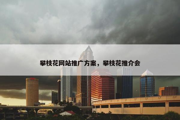 攀枝花网站推广方案，攀枝花推介会