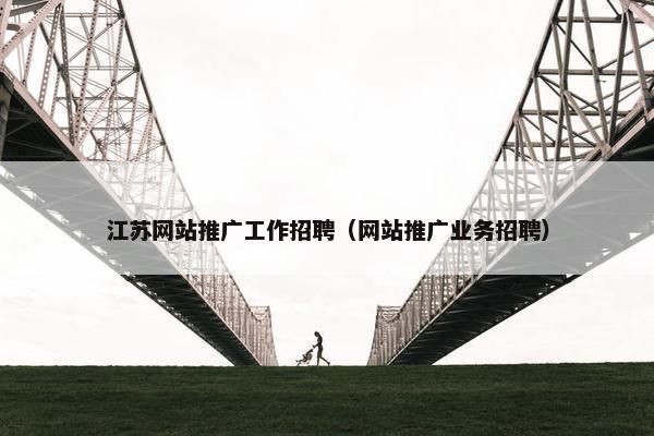 江苏网站推广工作招聘（网站推广业务招聘）