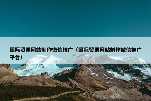 国际贸易网站制作微信推广（国际贸易网站制作微信推广平台）