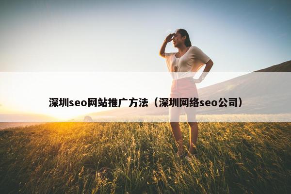 深圳seo网站推广方法（深圳网络seo公司）